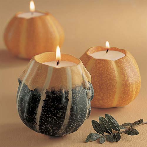 ��Ȥ����f(w��n)ʥ��(ji��)�Ɍ�(du��)�Ҿ�Ʒ