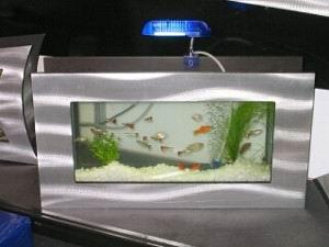 �ڒ��~��չʾ����Ʒζ