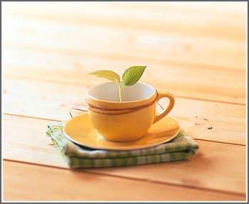 �ɐ۲;�׌С�Y�Ĵˑ��ϏN