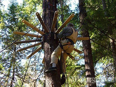 ������˼��(chu��ng)�����w�Ƅӷ���