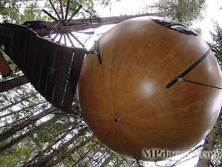 ������˼��(chu��ng)�����w�Ƅӷ���