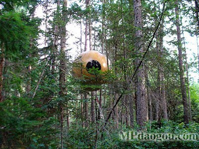 ������˼��(chu��ng)�����w�Ƅ�(d��ng)����