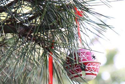 ʥ�Q���bI(y��ng)��Ҿ�ʥ�Q�L(f��ng)