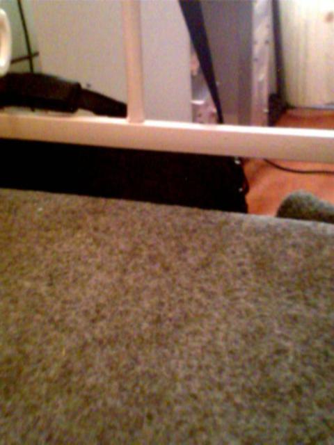 �xُ���w��̺߀��(y��ng)ע������