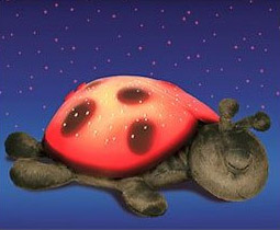 ����ɐ۵İl(f��)�������