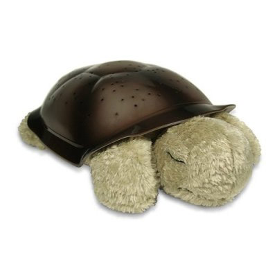 ����ɐ۵İl(f��)�������