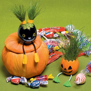 ��(chu��ng)���ּҾ�׌��옷�o(w��)߅