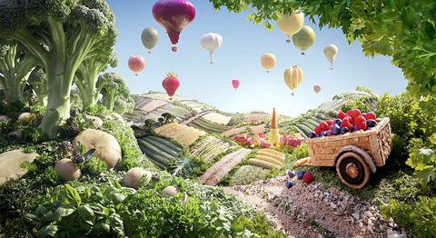 �߲�ʳƷ�ĳ��@�Gˇ�g(sh��)����