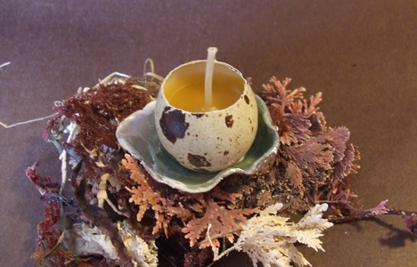 ����DIY��(g��)����Ϟ�T