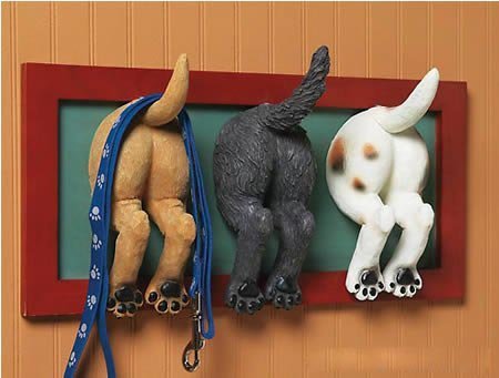 12����(chu��ng)�≦�^�����