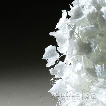 ׵Ę~Є(chung)⵫ܹª(d)