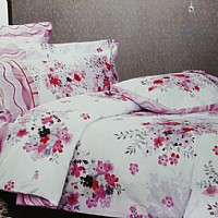 ��ۣ�FLTL009-4��