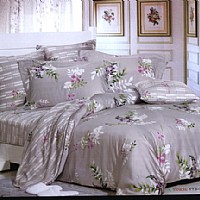 �����p��