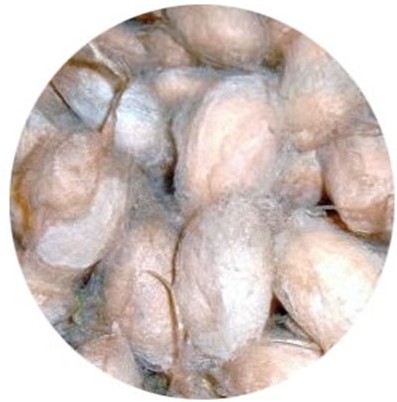 3��15����Ҽ����Є��b�e�Q�z��