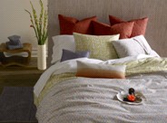 ����z2012����̫ƽ��ϵ��տ�{(l��n)�ǈ�