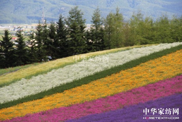 ����Ҽ���푡����ڲ��������ϱ����������������