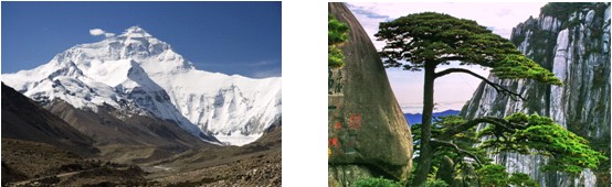 �W�ɼҼ����_��λ��������}��