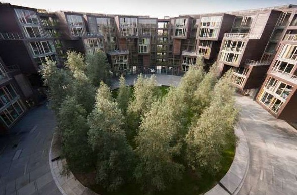 W(xu)`Ё(li)Ї(gu)()