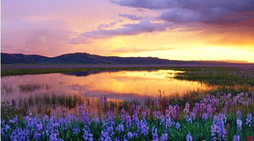 �W�ɼҼ����c����s����������