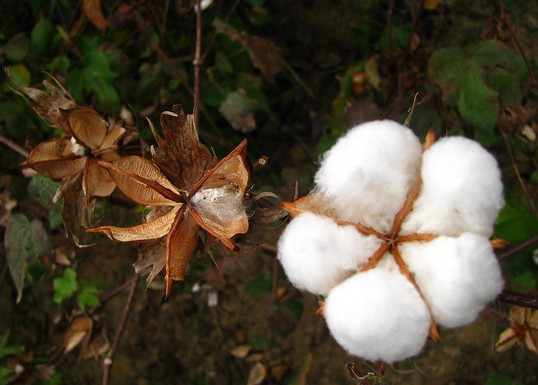 Ұl(f)2014޻Ŀ(bio)r(ji)