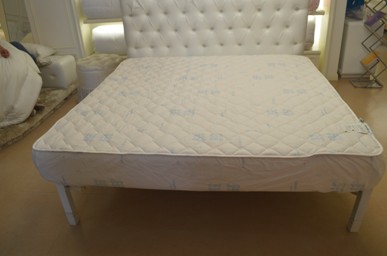 WɼҼ籭Qِ׌҂ďҹg