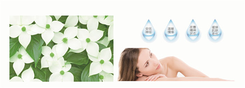 {׷RwS(qun)zy(c)ȫɿ