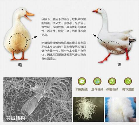 WɼҼu(mi)xُ(gu)Ʒq