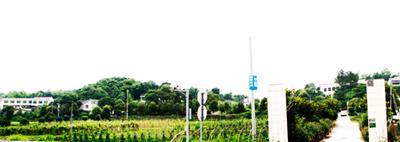 ҼٮЙCB(ti)r(nng)f ׌TϷĲ