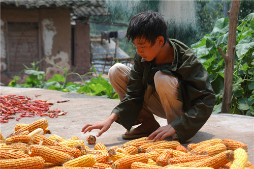 Ʒ|(zh)58(mng)Ҽcȫۼһͬ(mng)