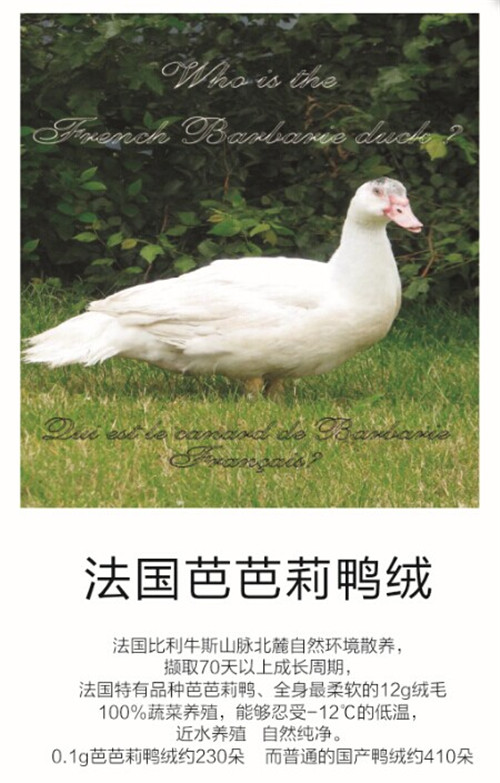 Ʒ|(zh)58(mng)Ҽcȫۼһͬ(mng)