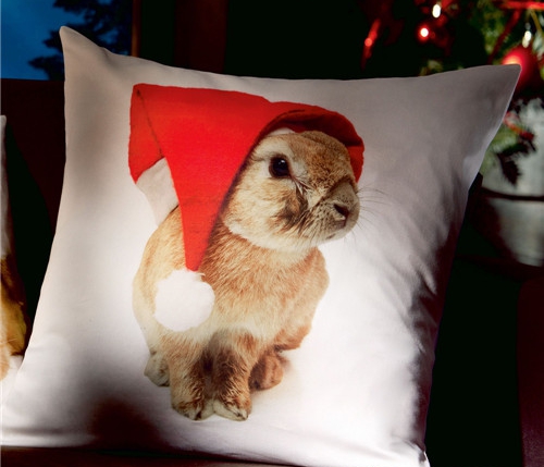 rмҼƷʥQ(ji)Ԫؿ|C