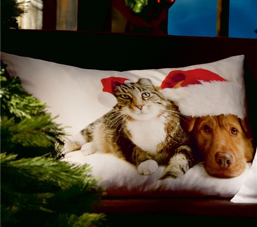 rмҼƷʥQ(ji)Ԫؿ|C