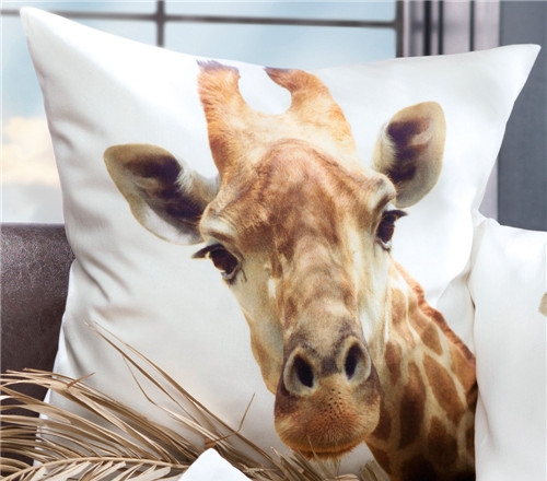 rмҼƷʥQ(ji)Ԫؿ|C