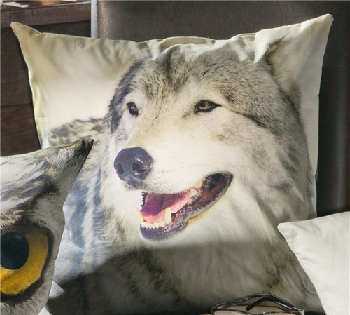 rмҼƷʥQ(ji)Ԫؿ|C