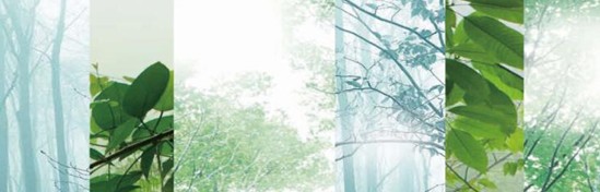 _mC(j)Ҽ߀ԭRԭB(ti)ƽh(hun)