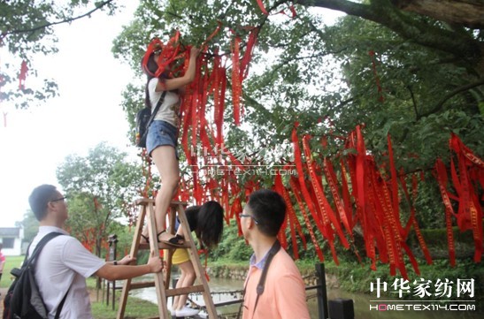 tҼϦoЇF