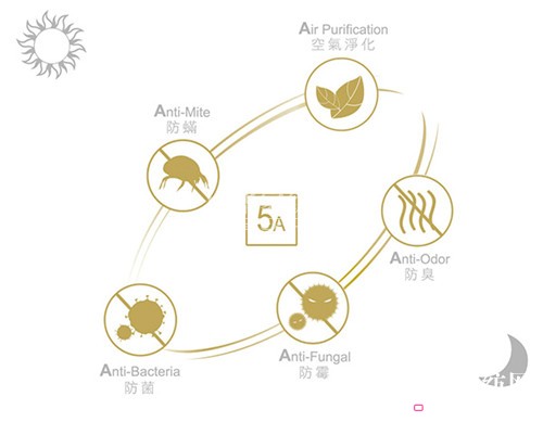 ɼF(tun)һվʽҾw(yn)^L׿չ