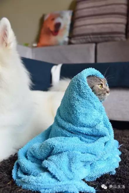 ԡëԌëҲv