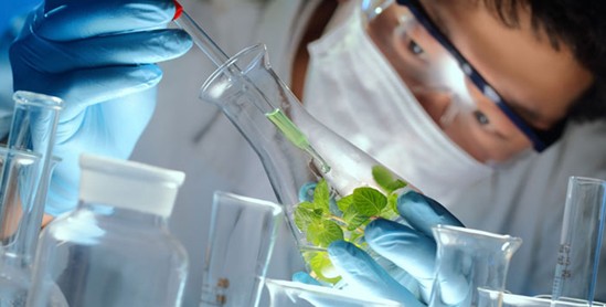 _mҼɭ˯ߡCСɭ