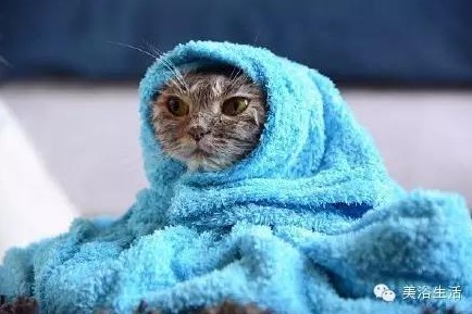 ԡëԌͣëҲv