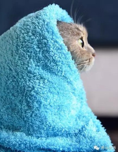 ԡëԌëҲv