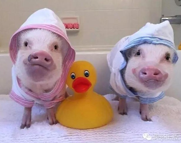 ԡһlԡ͎o㲻ԶҸ