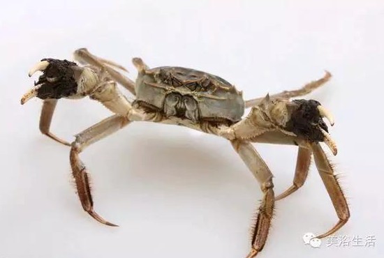 ԡÂĴlззSʳзȯзë