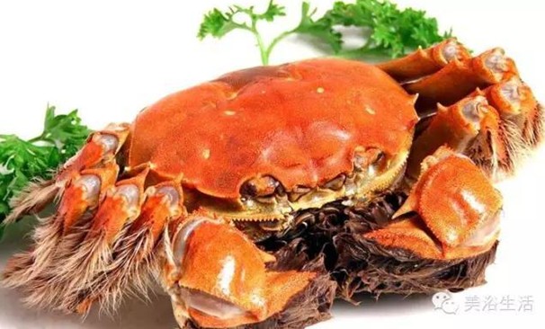 ԡÂĴlззSʳзȯзë