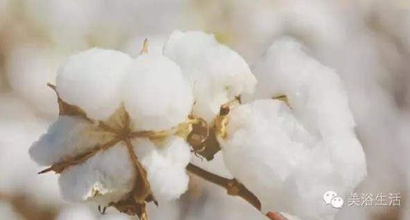 ԡՓһlëB(yng)