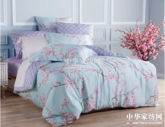 g2ӭΣC(j)pݼҼϲ۰l(f)(zhn)