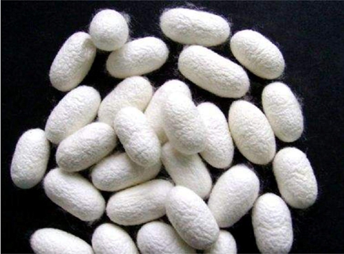 ͬǽzW_{ʲôfRˣ