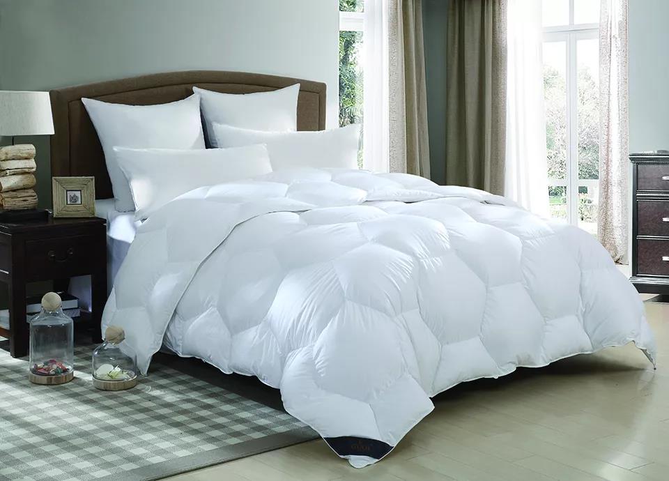 ƷZq(bio)(zhn)_(ti)쿴Iı_(d)(bio)˛](mi)