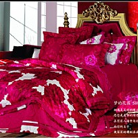 ��(m��ng)�Ļ��@ SBY02004��10