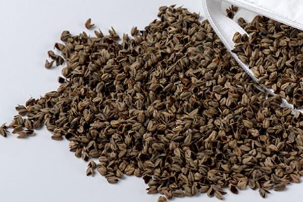 ȻѻҼĸɽwsߴ﷦